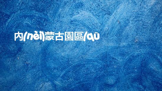 內(nèi)蒙古園區(qū)集中固廢危廢處置通知化工領域新技術，突破創(chuàng)新封鎖？